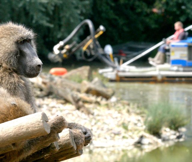 ZOOM Gelsenkirchen,<br>cleaning lake. ZOOM Gelsenkirchen,<br>cleaning lake.